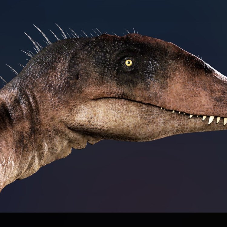 Unveiling the Fascinating World of Concavenator: The Enigmatic Dinosaur from Early Cretaceous