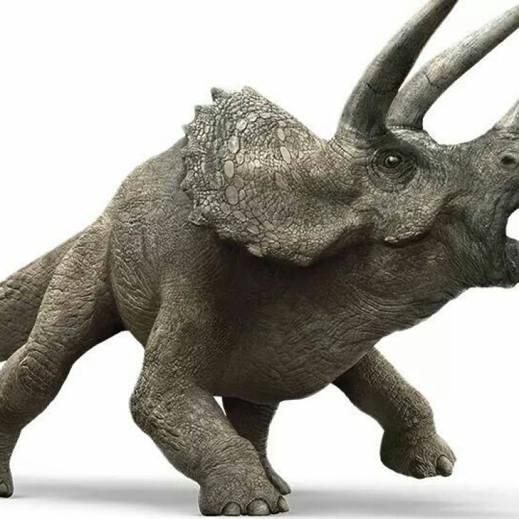 The Mighty Triceratops: A Herbivorous Giant of the Late Cretaceous Period
