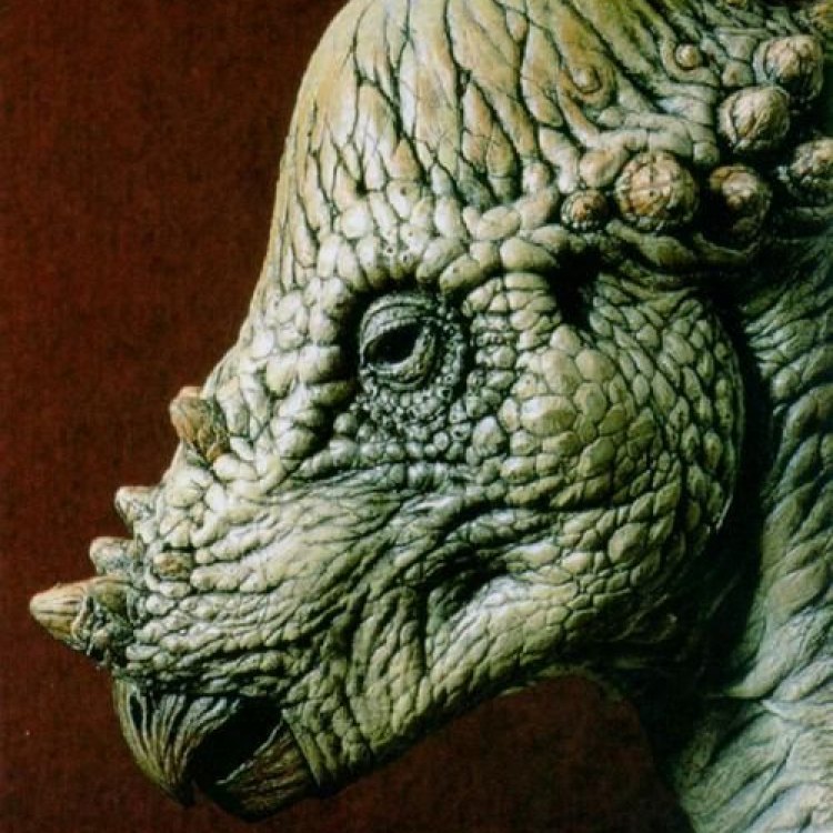 Micropachycephalosaurus: Uncovering the Mysteries of a Dinosaur