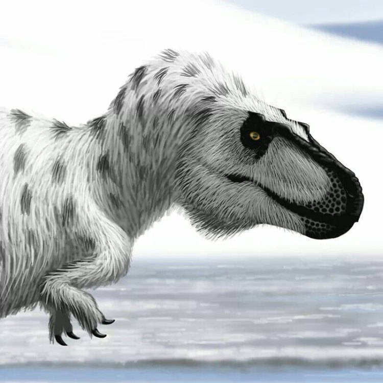 Nanuqsaurus: The Mighty Predator of the Arctic