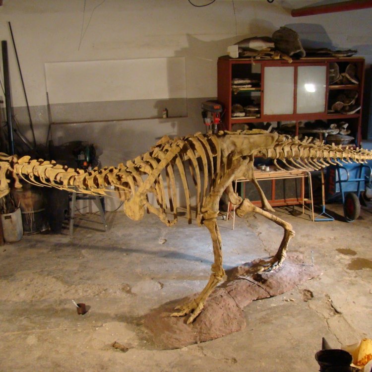Aucasaurus: The Lesser-known Predator of the Late Cretaceous