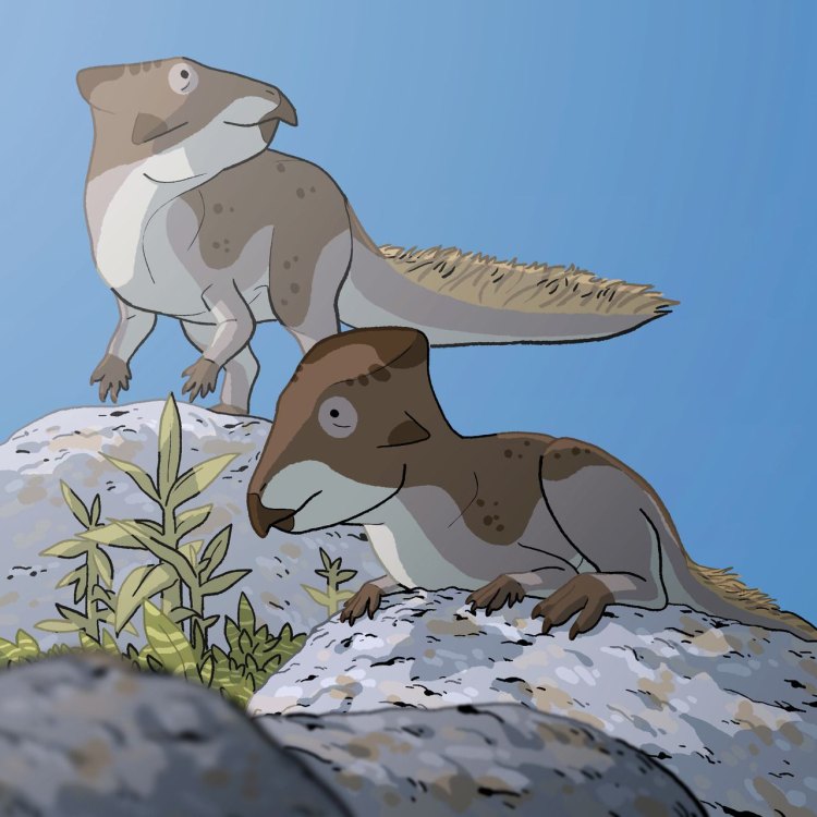 Koreaceratops: Unveiling the Mysteries of Korea's Herbivore Dinosaur