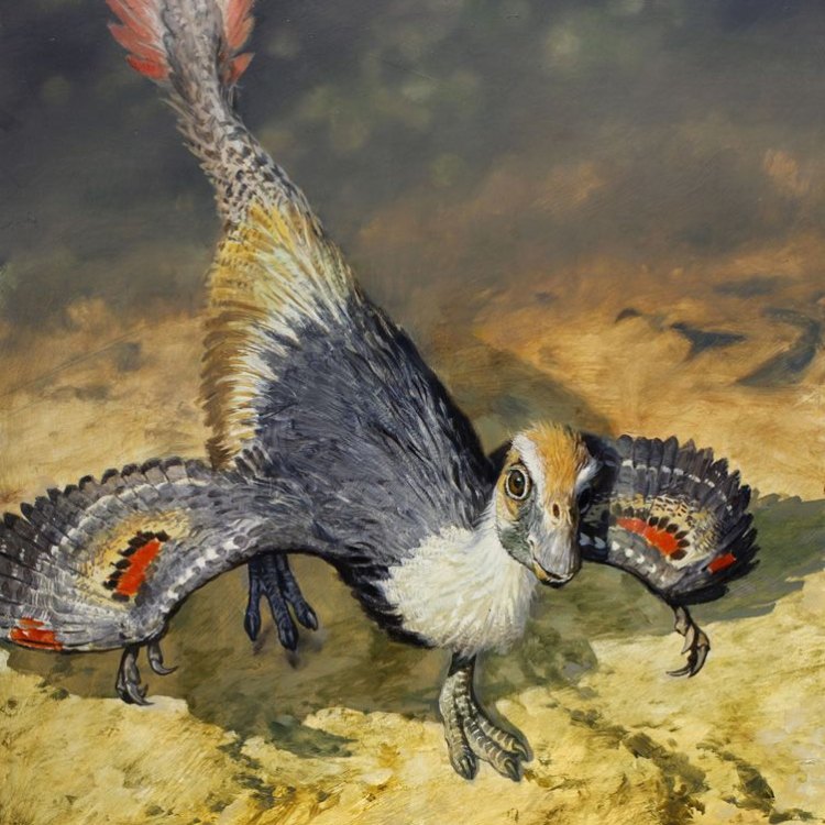 The Ferocious and Elusive Khaan: Unveiling the Secrets of a Late Cretaceous Hunter