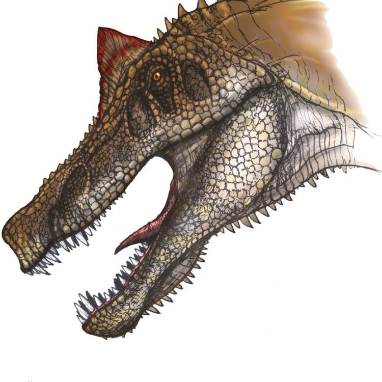 Unleashing the Mystery of the Irritator: A Semi-Aquatic Terror of the Early Cretaceous