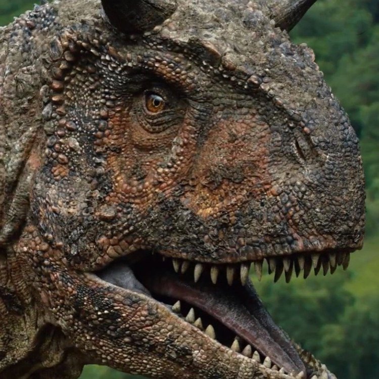 A Fiery Beast of the Late Cretaceous: Exploring the World of Carnotaurus