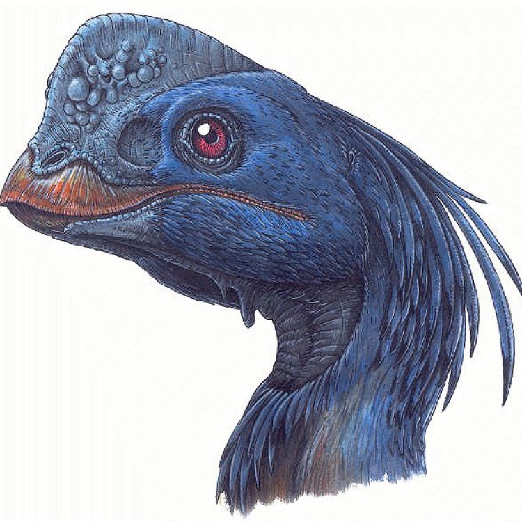 Chirostenotes: A Fascinating Omnivorous Dinosaur from the Late Cretaceous Era