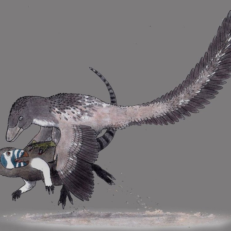 Zephyrosaurus: The Herbivorous Dinosaur of Late Jurassic Era