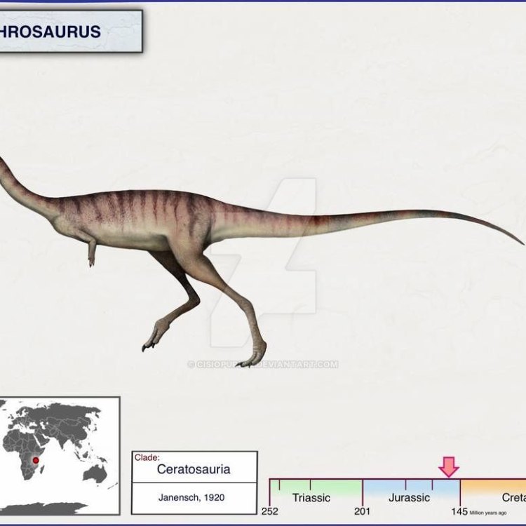 The Elusive and Mighty Elaphrosaurus: A Jurassic Predator