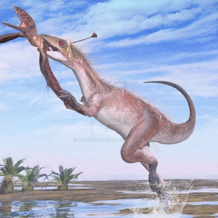The Mighty Dracopelta: Discovering One of the Most Fascinating Dinosaurs of Early Jurassic Southern Africa