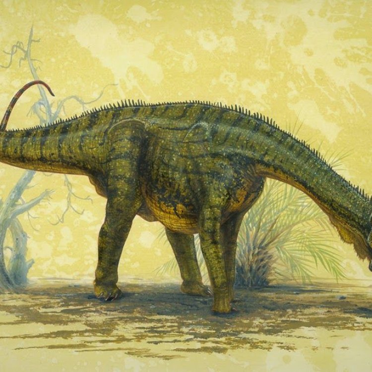 The Amazing Nigersaurus: A Peaceful Giant of the Cretaceous Era