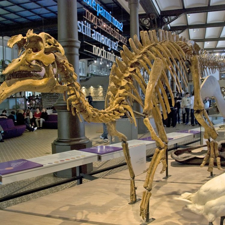 Exploring the Fascinating World of Amurosaurus: A Massive and Mystifying Dinosaur