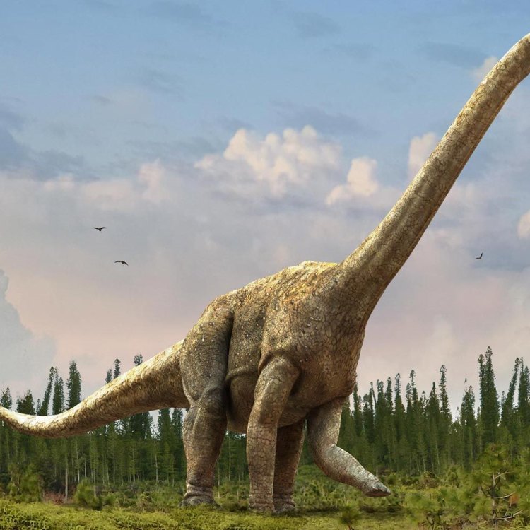 Titanosaurids: Uncovering the Giants of the Late Cretaceous