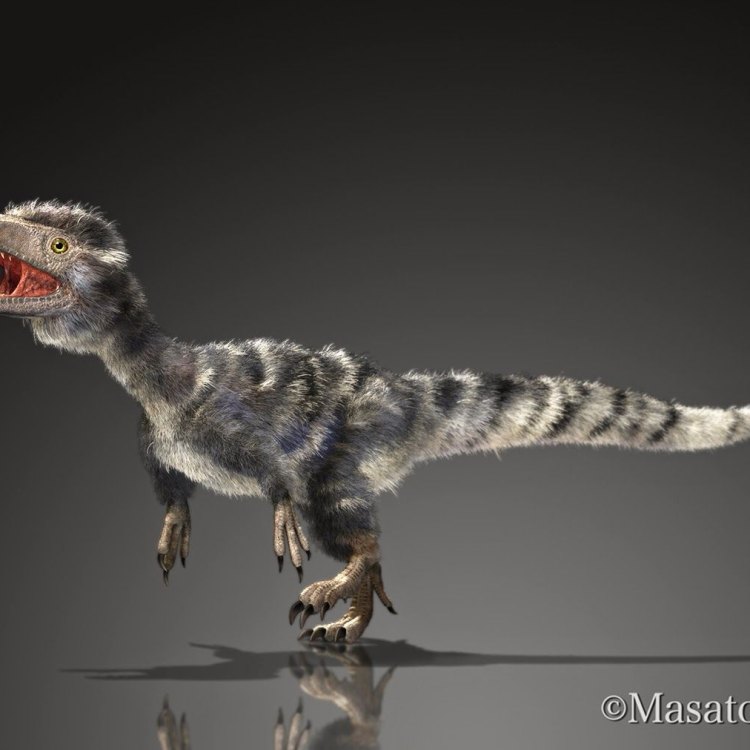 The Mighty Juravenator: A fearsome predator from the Late Jurassic era