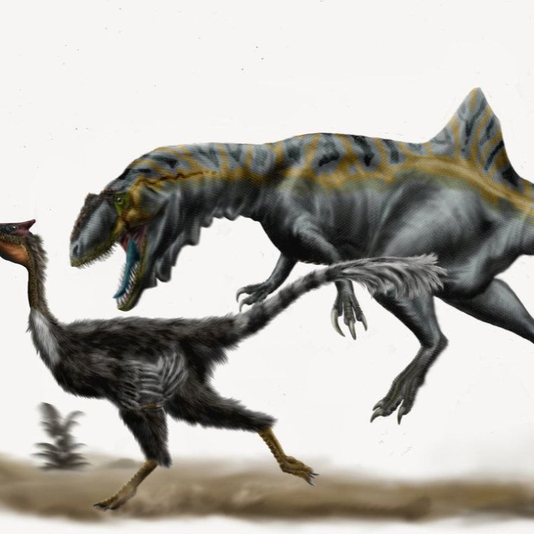 Pelecanimimus: Uncovering the Secrets of a Unique Dinosaur from Spain