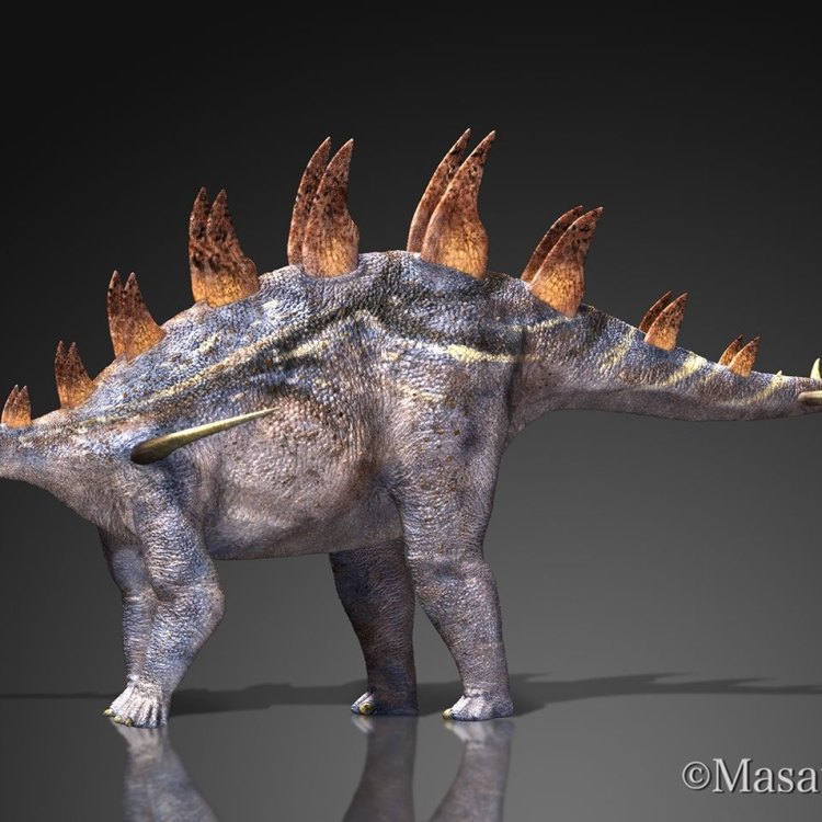 Lexovisaurus