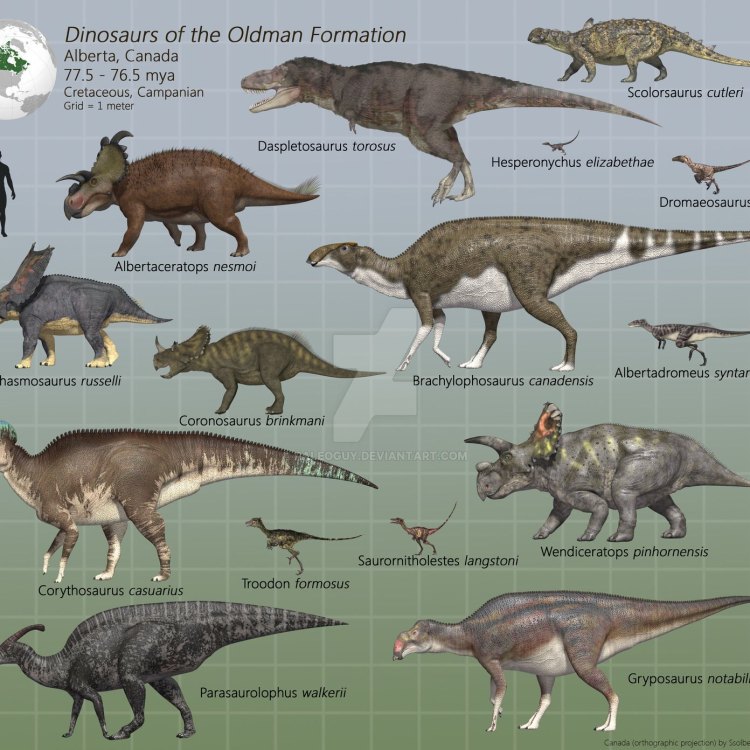 Halticosaurus: The Mysterious Dinosaur of the Late Triassic Era