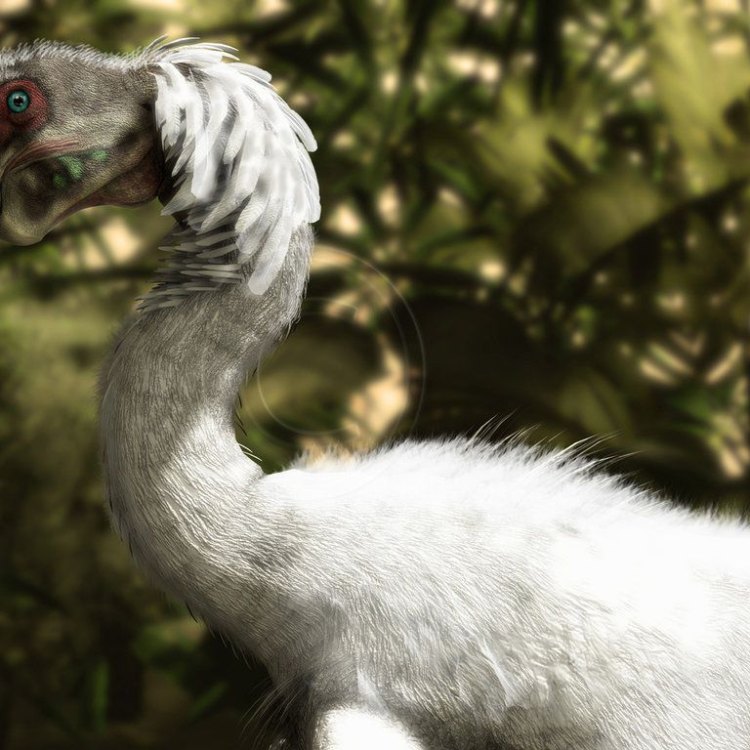 Citipati: Uncovering the Secrets of an Asian Herbivorous Dinosaur