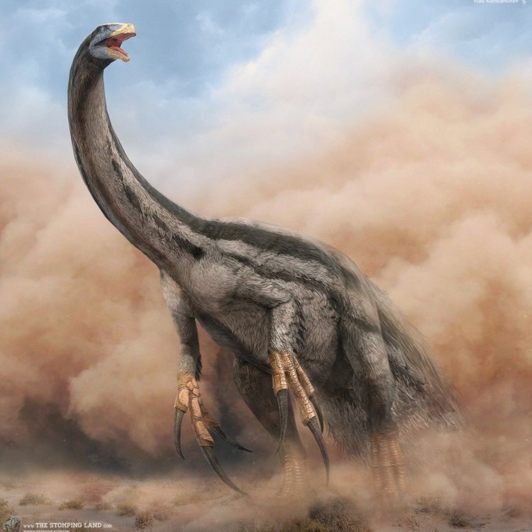 In Search of Dravidosaurus: A Mysterious Dinosaur of the Late Cretaceous Era