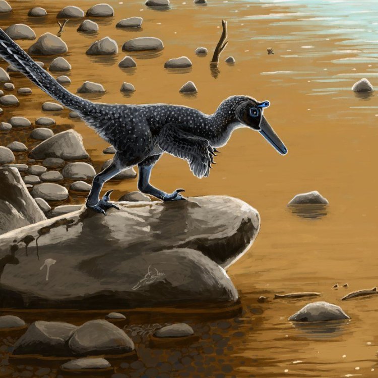 Buitreraptor gonzalezorum
