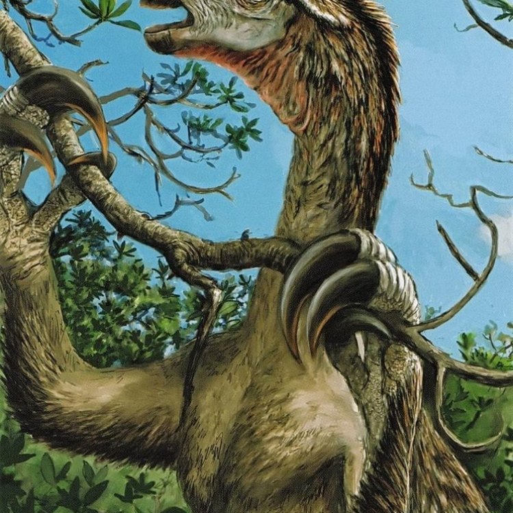 Nothronychus: Exploring the Fascinating World of a Herbivorous Dinosaur