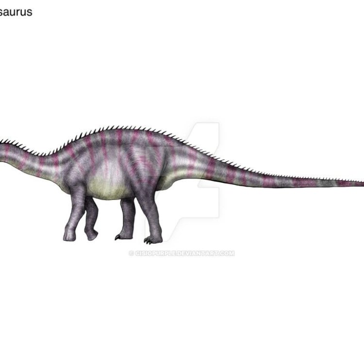 Quaesitosaurus