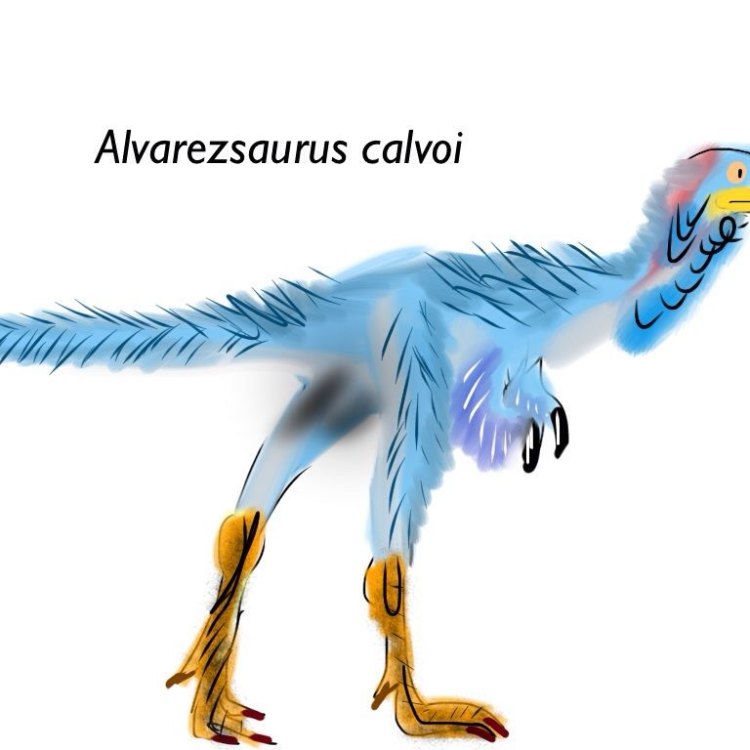 Alvarezsaurus: The Mysterious Insect-Eating Dinosaur from the Late Cretaceous Era