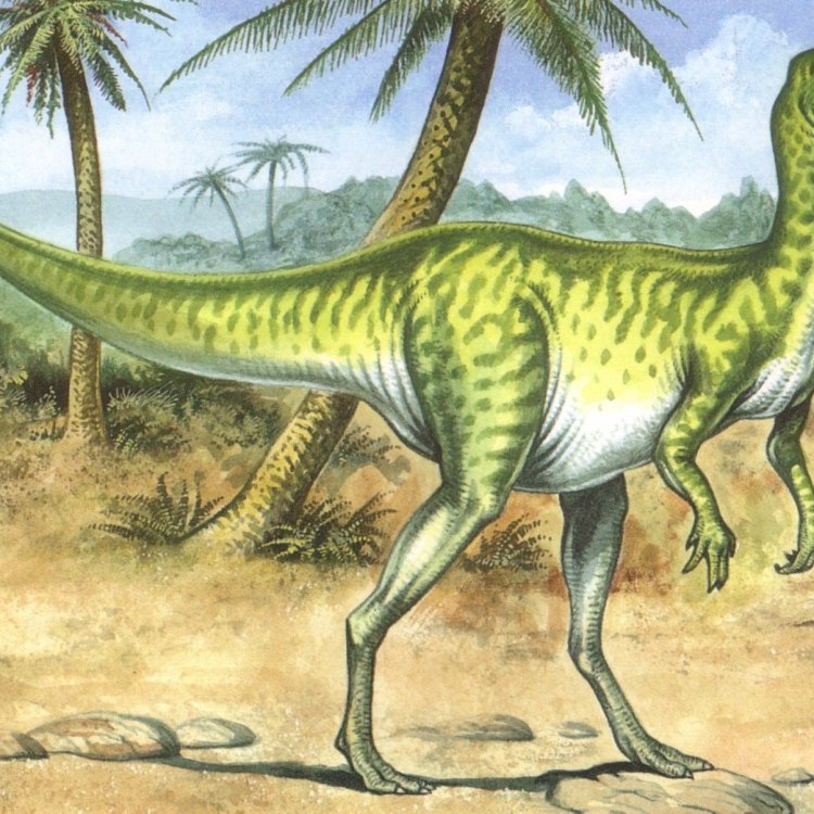 Dryosaurus: Exploring the Jurassic Era's Most Iconic Herbivore