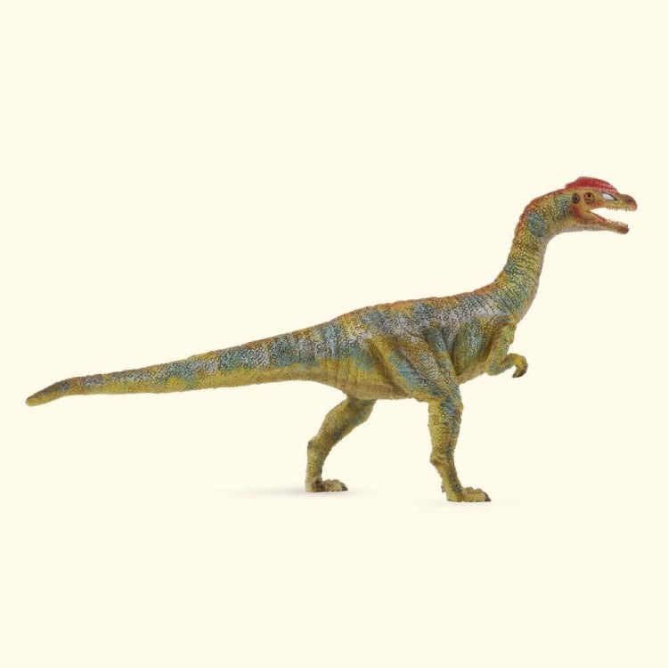 Liliensternus: A Fierce Carnivore from the Late Triassic Period
