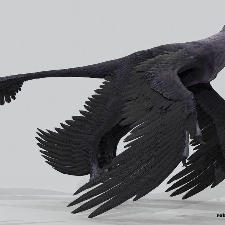 The Majestic Microraptor: A Fascinating Dinosaur from China's Forests