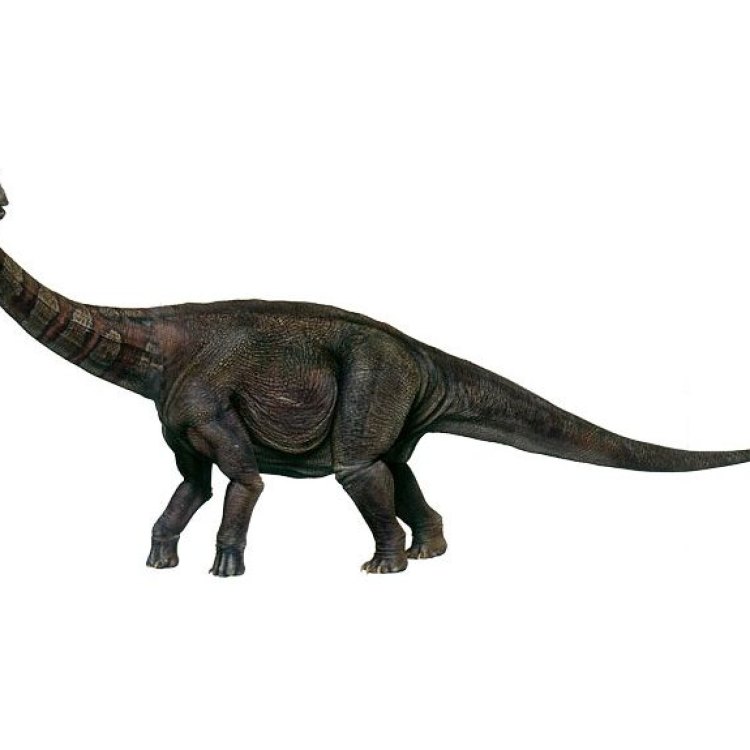The Enigma of Rhoetosaurus: Unlocking the Mysteries of Australia's Giant Herbivore