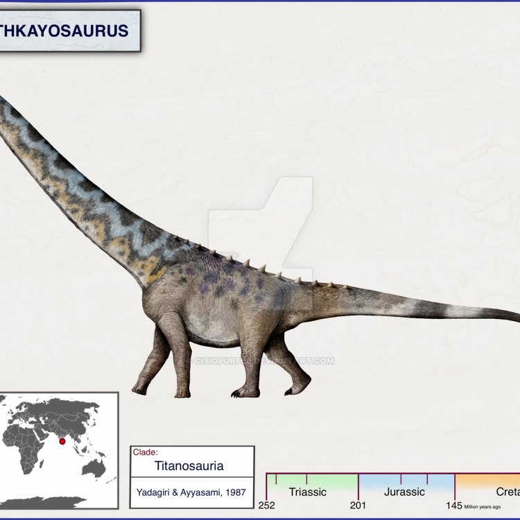 Conclusion: An Impressive Giant from the Jurassic
