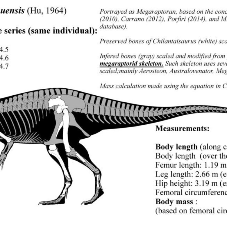 The Mighty Chilantaisaurus: A Fierce Predator from Late Cretaceous Era