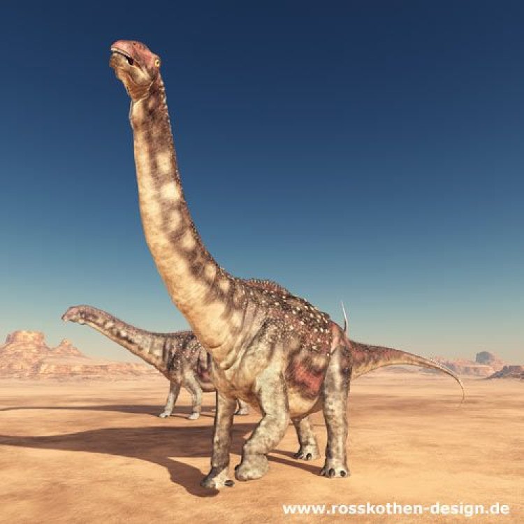 The Marvelous Diamantinasaurus of Australia: Discovering the Enigmatic Giant