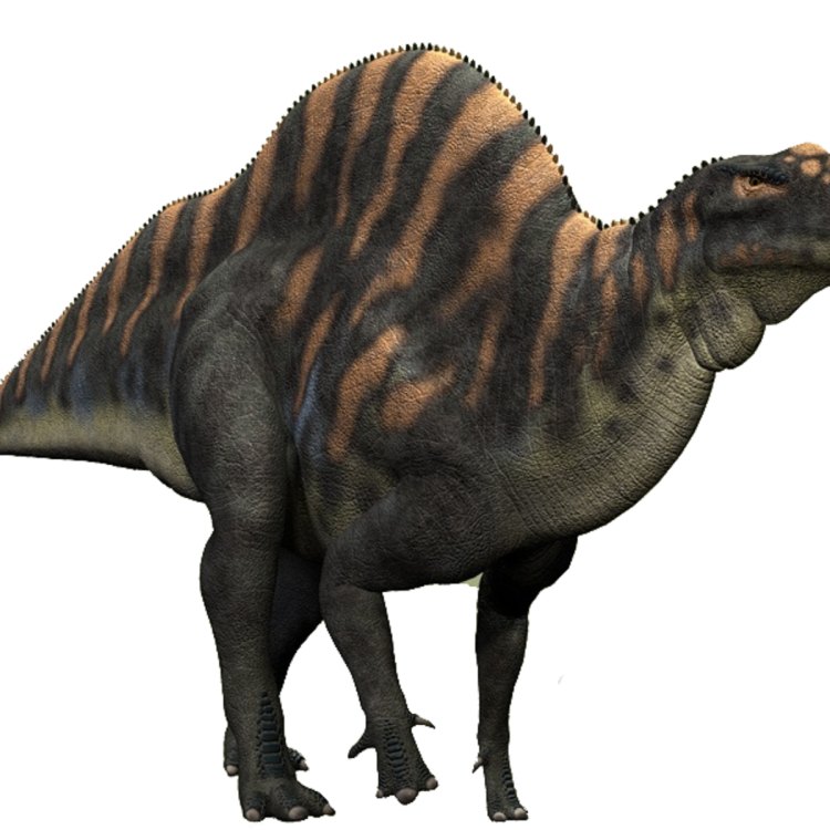 Ouranosaurus: Unveiling the Mysterious Dinosaur of the Early Cretaceous