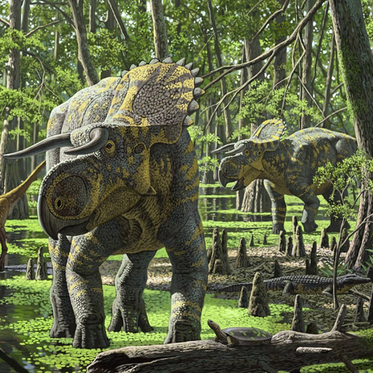 The Majestic Nasutoceratops: Exploring the Unique Features of this Late Cretaceous Dinosaur