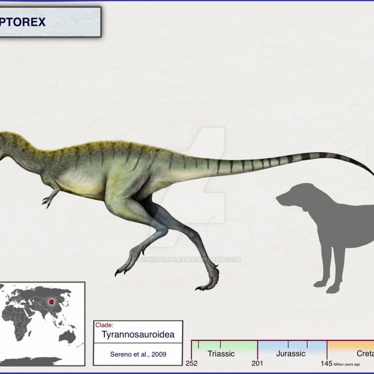 The Mighty Raptorex: A Fierce Predator of the Early Cretaceous Era