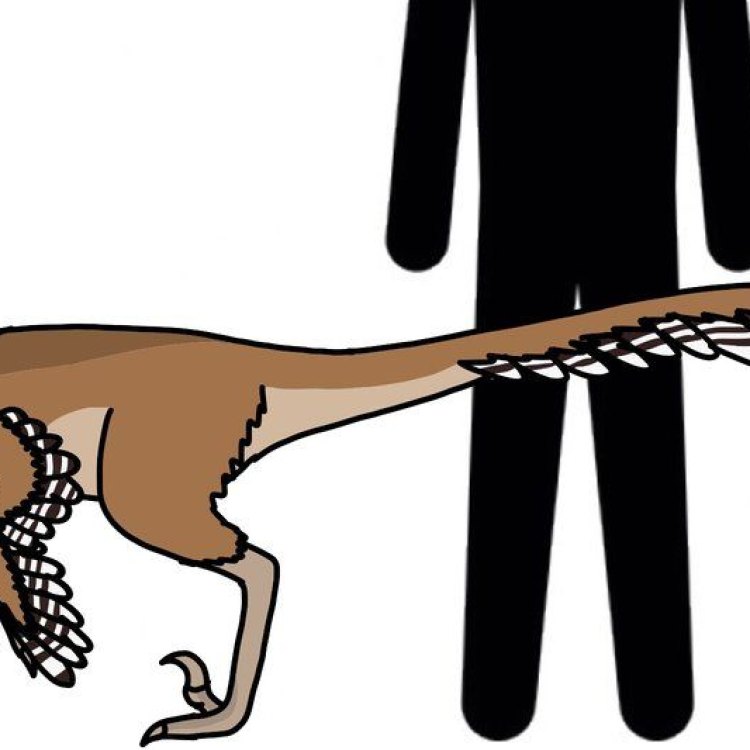 A Lost Predator of the Jurassic: The Richardoestesia Dinosaur