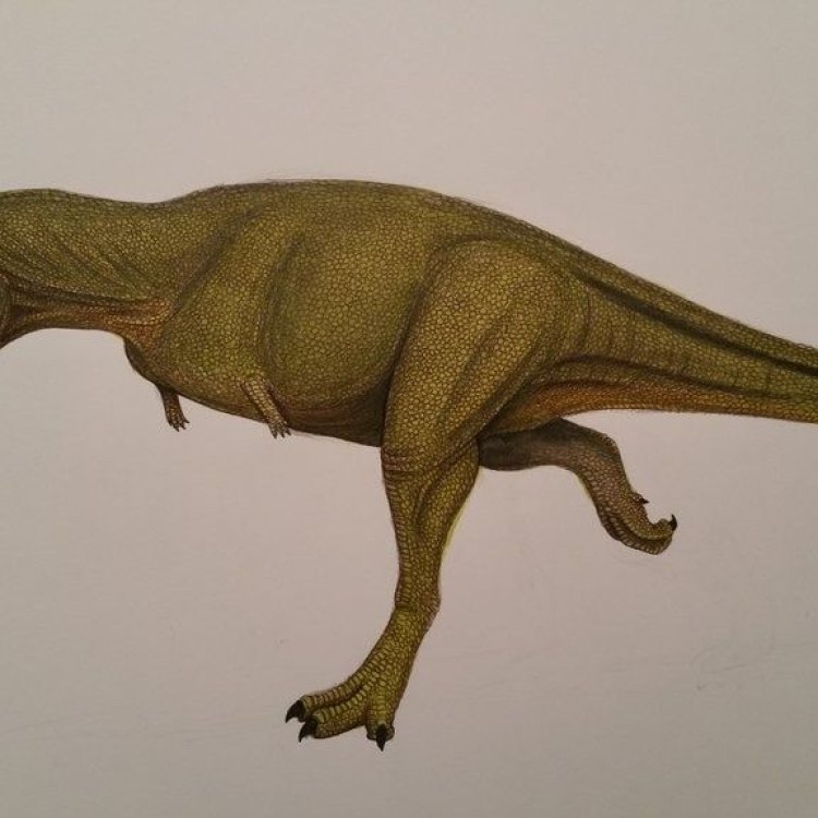 The Enigmatic Xenotarsosaurus: A Giant Carnivore of the Late Cretaceous