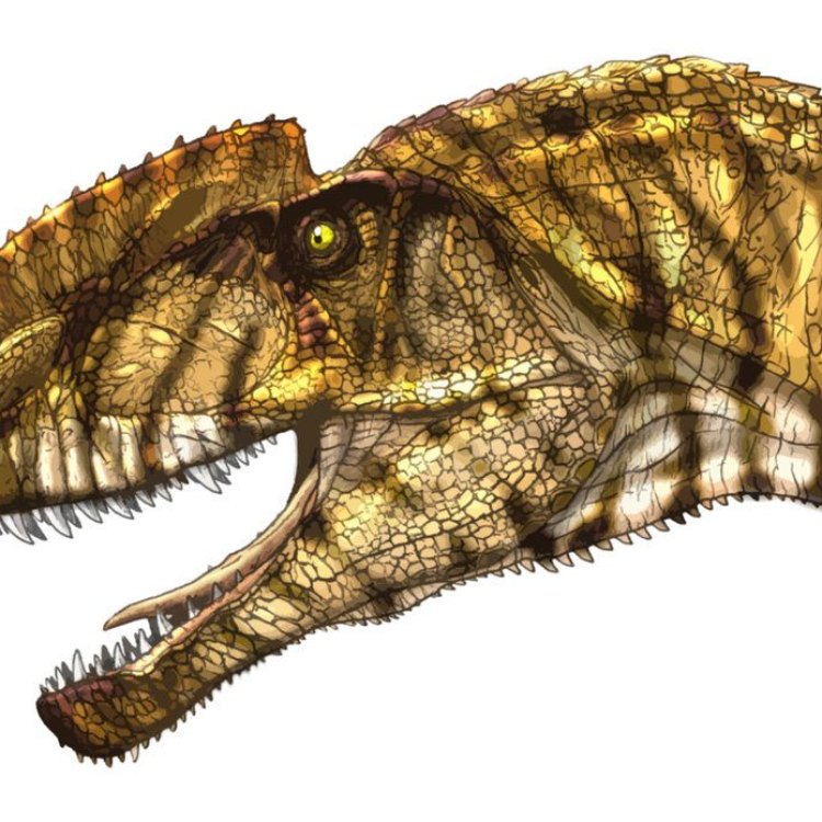 Monolophosaurus jiangi