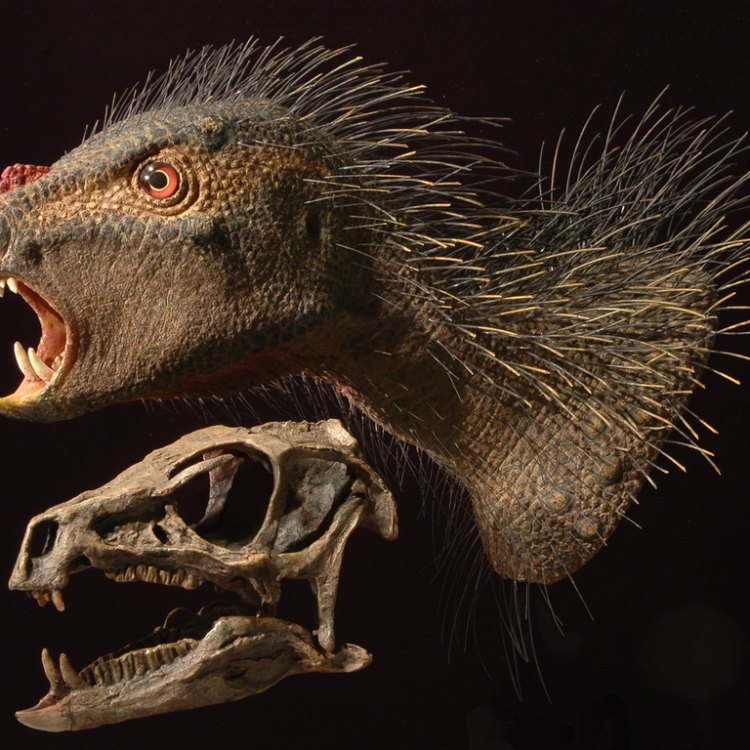 The Fascinating Heterodontosaurus: Unraveling the Mysteries of This Unique Jurassic Herbivore