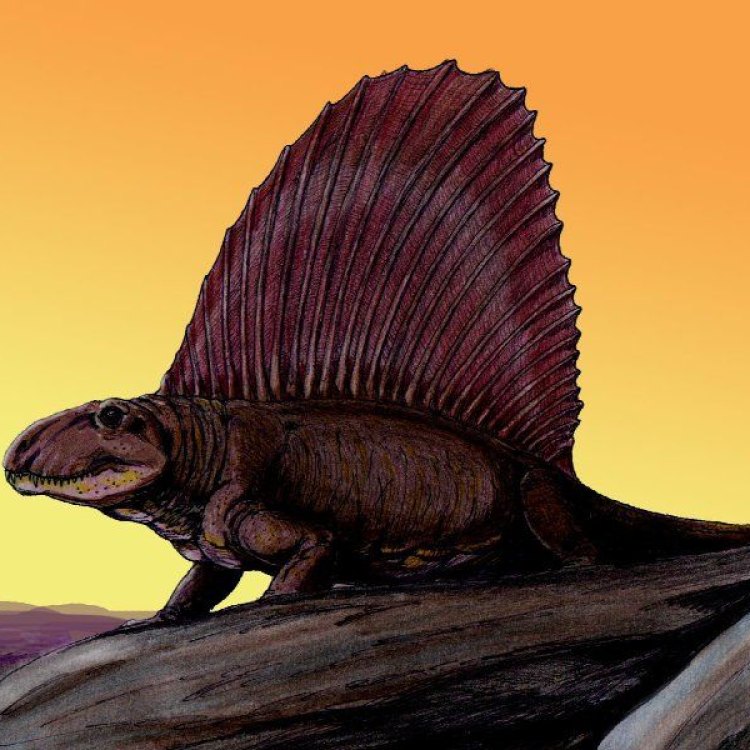 The Mighty Dimetrodon: A Fierce Predator of the Prehistoric World