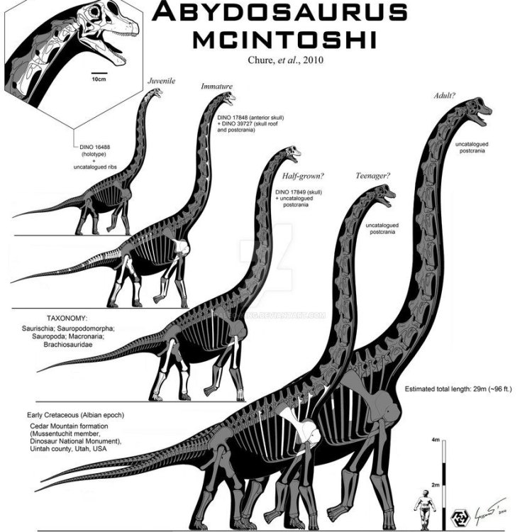 Discover the Fascinating Abydosaurus: A Graceful Giant from the Late Cretaceous Period