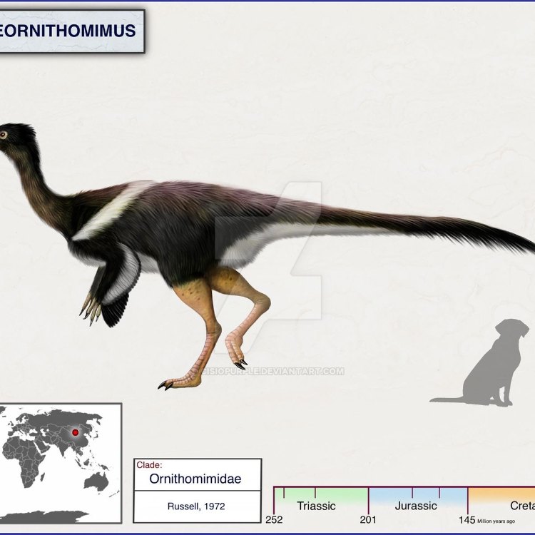 Unveiling the Mysteries of the Archaeornithomimus: A Fascinating Herbivore of the Late Cretaceous Period