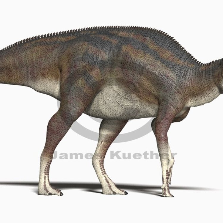 Discovering the Mysterious Acristavus: A Late Cretaceous Dinosaur