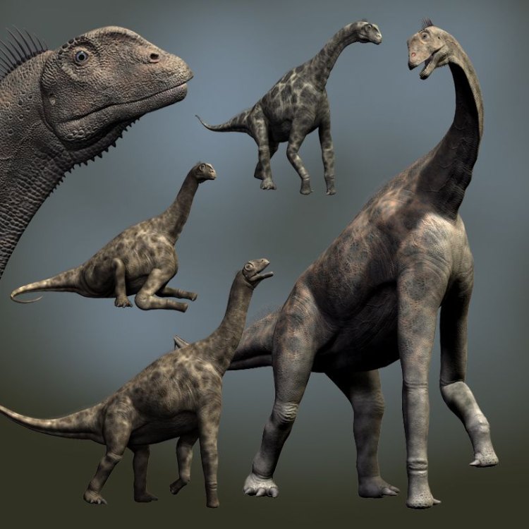 The Enigmatic Atlasaurus: A Mystifying Dinosaur of the Late Jurassic Era