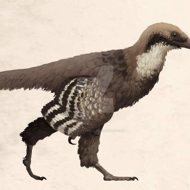 The Mysterious Dinosaur of the Jurassic Era: Eosinopteryx