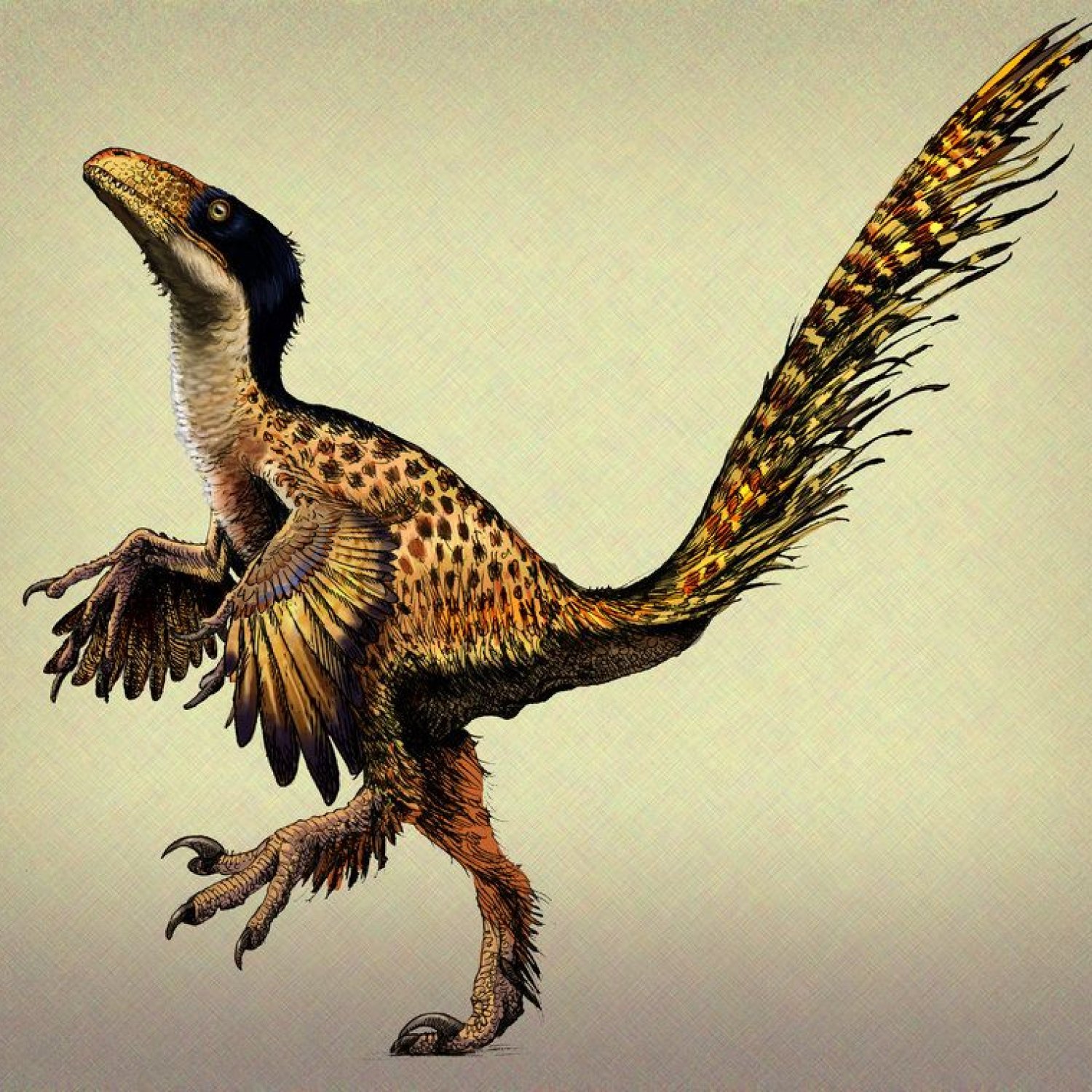 Feathered Dino