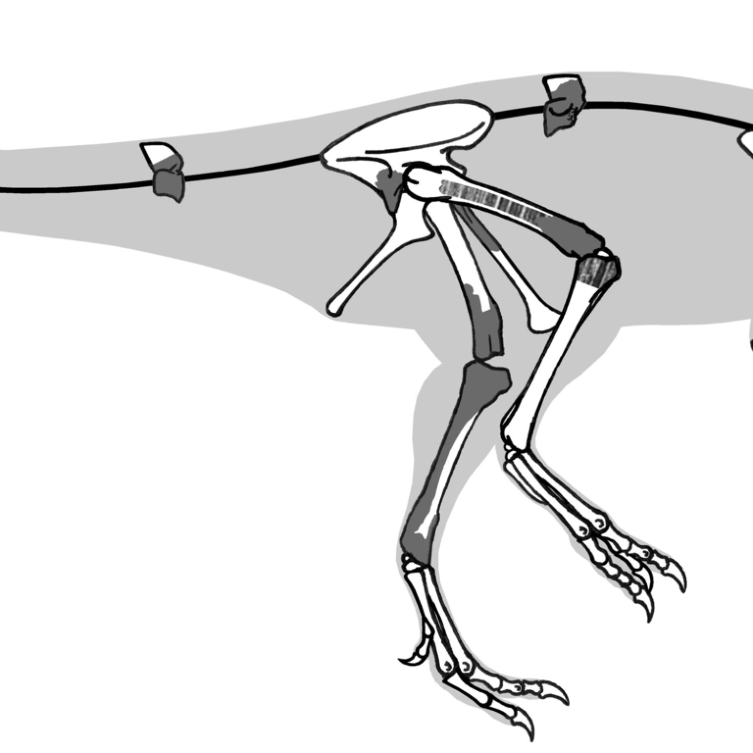 Magnosaurus