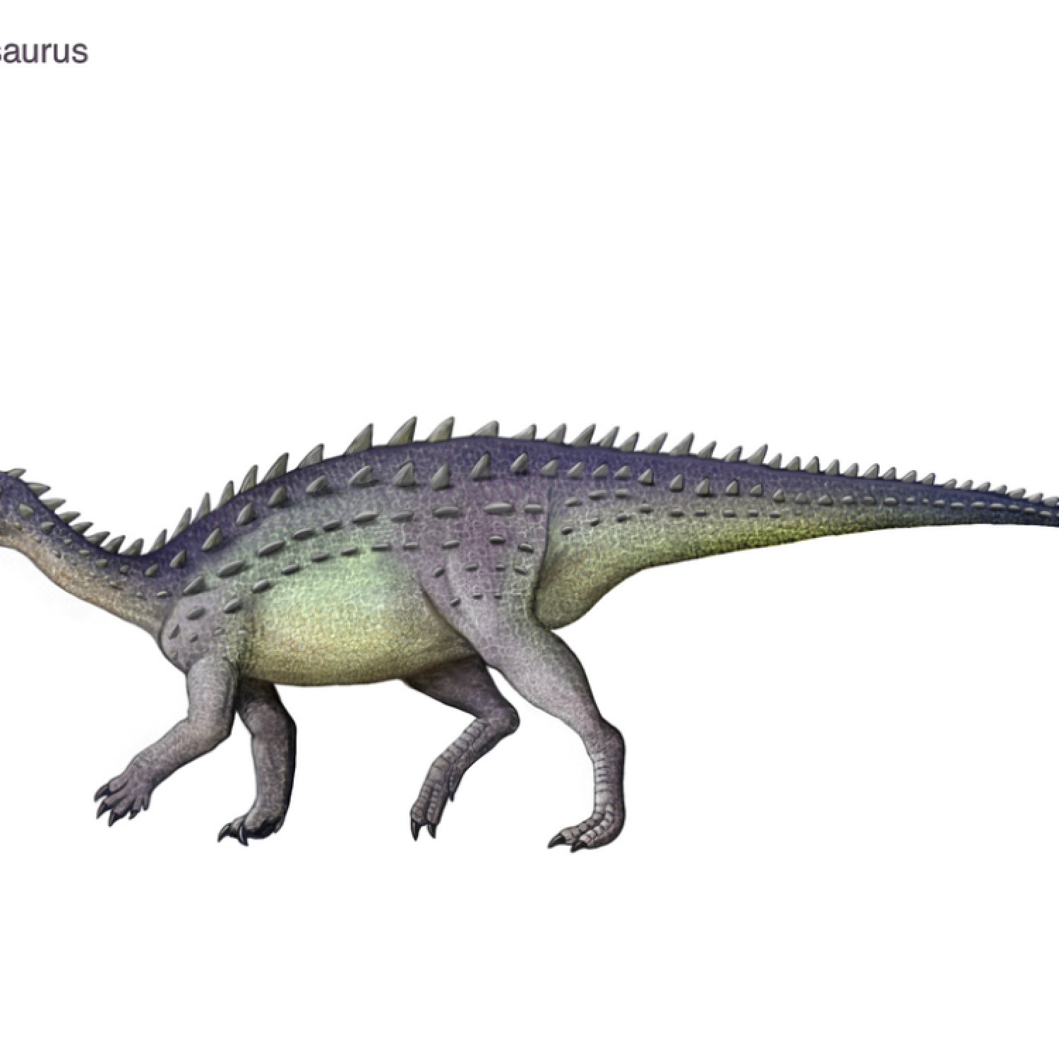 Lusitanosaurus